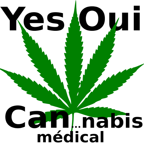 Yes Oui Cannabbis Medical