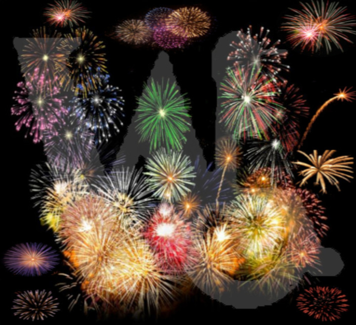 BONNE ANNEE 2015
